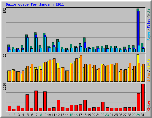 Daily usage for January 2011