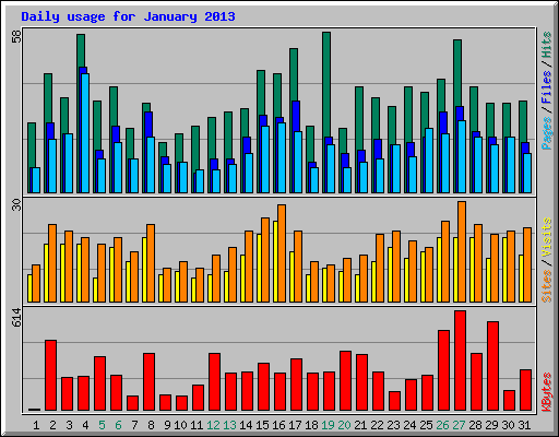 Daily usage for January 2013