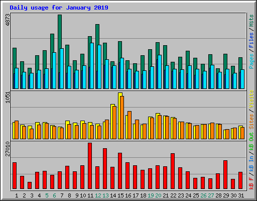 Daily usage for January 2019
