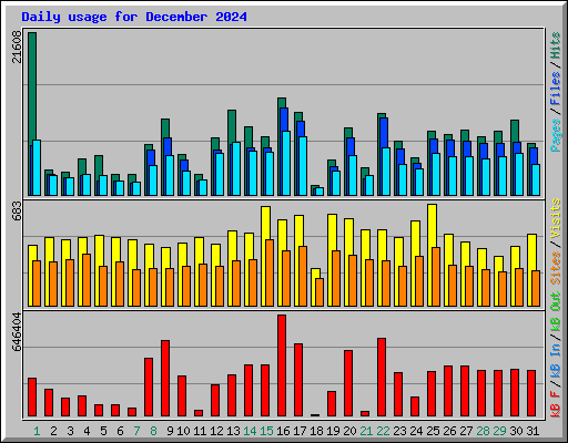 Daily usage for December 2024