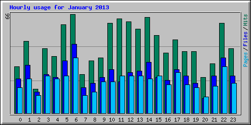 Hourly usage for January 2013