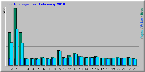 Hourly usage for February 2016