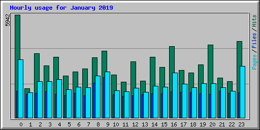 Hourly usage for January 2019