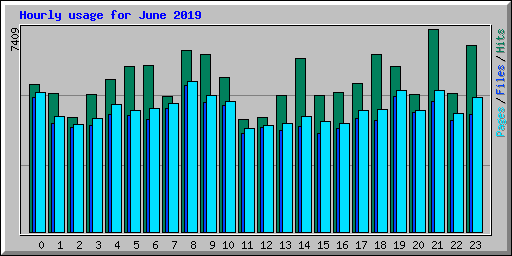 Hourly usage for June 2019