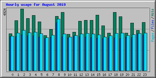 Hourly usage for August 2019