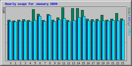 Hourly usage for January 2020
