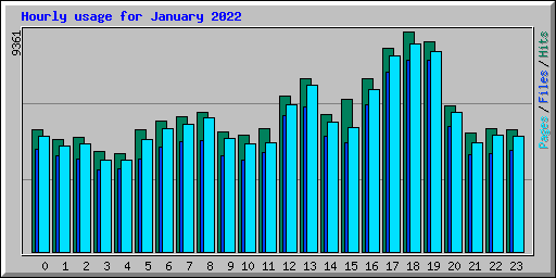 Hourly usage for January 2022