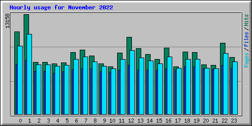 Hourly usage for November 2022