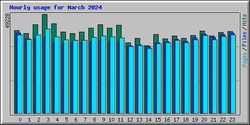 Hourly usage for March 2024