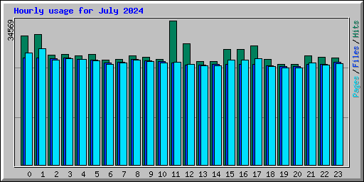Hourly usage for July 2024