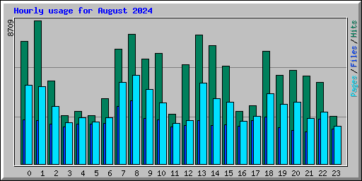 Hourly usage for August 2024
