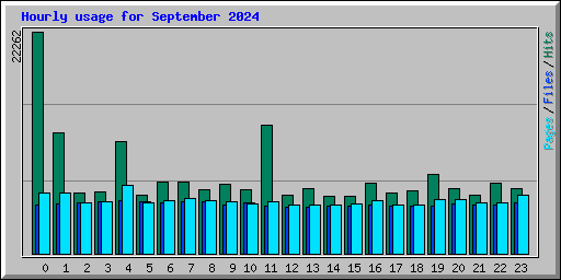 Hourly usage for September 2024