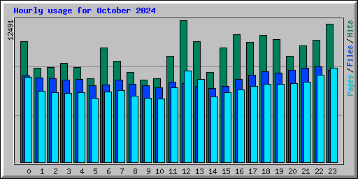 Hourly usage for October 2024