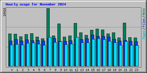 Hourly usage for November 2024