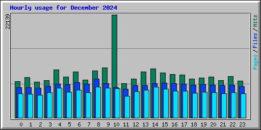 Hourly usage for December 2024