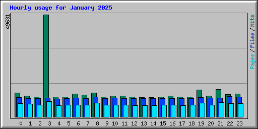 Hourly usage for January 2025