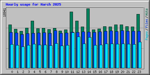 Hourly usage for March 2025