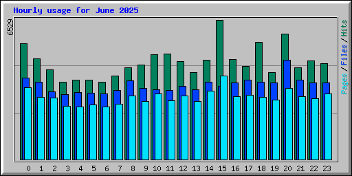 Hourly usage for June 2025