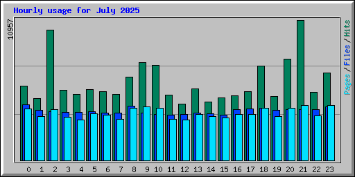Hourly usage for July 2025