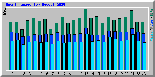 Hourly usage for August 2025